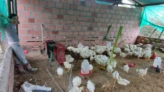 Vivienda/obra financiada con crédito de la Mutual — proyecto de Raúl Parra en El Triunfo (foto 3)